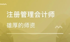 注册管理会计师CMAP1P2中文英文全套视频教程共180G