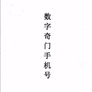 朱坤数字奇门手机号码预测入门 9.39M