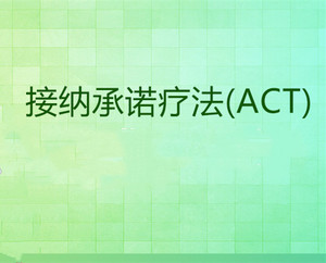 祝卓宏 接纳承诺疗法（ACT）基础课程18集视频