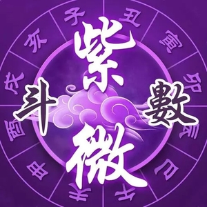 紫微斗数精成上下卷2.18MB