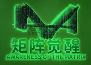 真爱之门《矩阵觉醒》